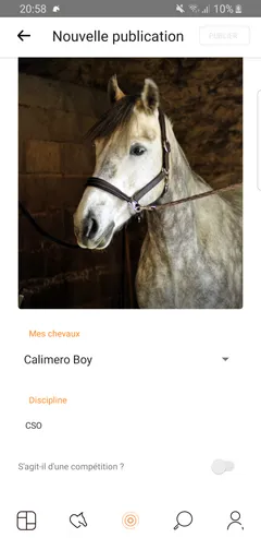 Écran de nouvelle publication : photo de cheval, sélection du cheval Calimero Boy, discipline CSO